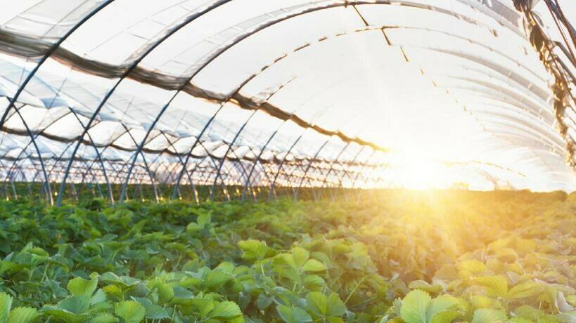 calculador-intensidad-luminica-mundo|calculador